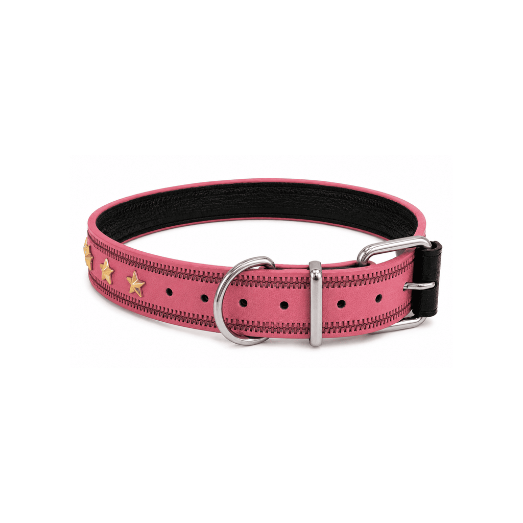 Collar para Perro Diseño Estrellas