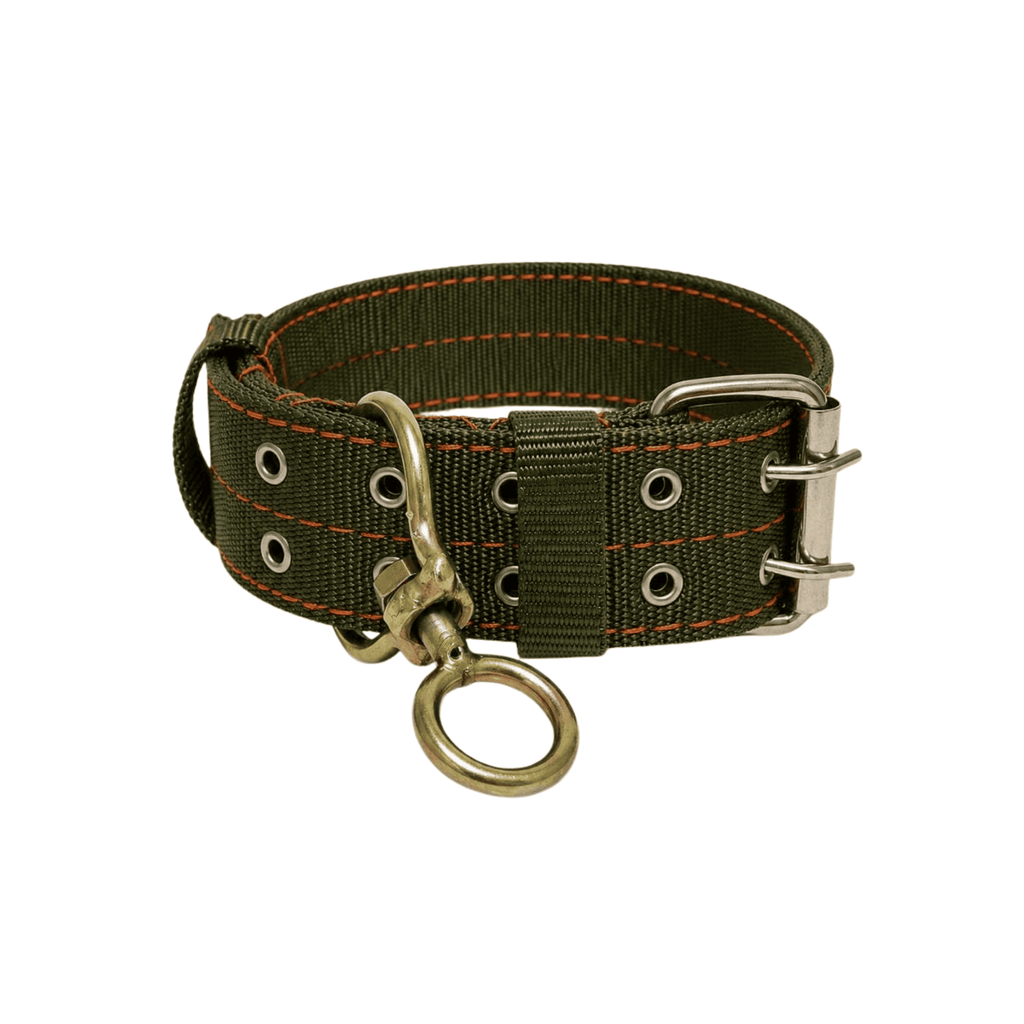 Collar Reforzado para Perros con Aro Giratorio Metálico