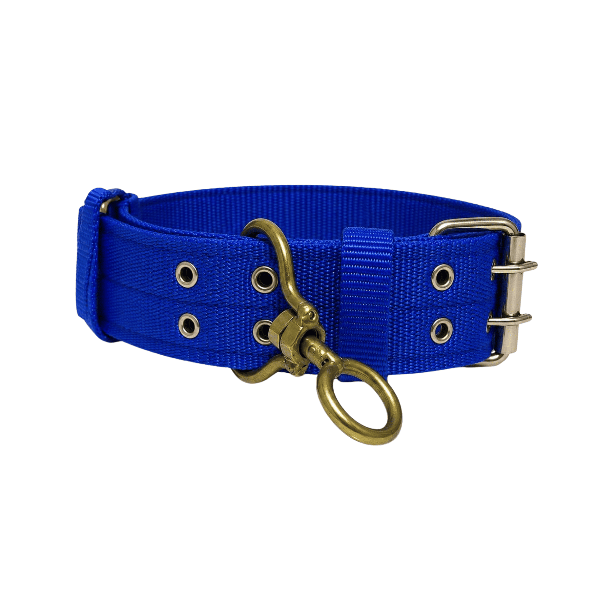 Collar Reforzado para Perros con Aro Giratorio Metálico