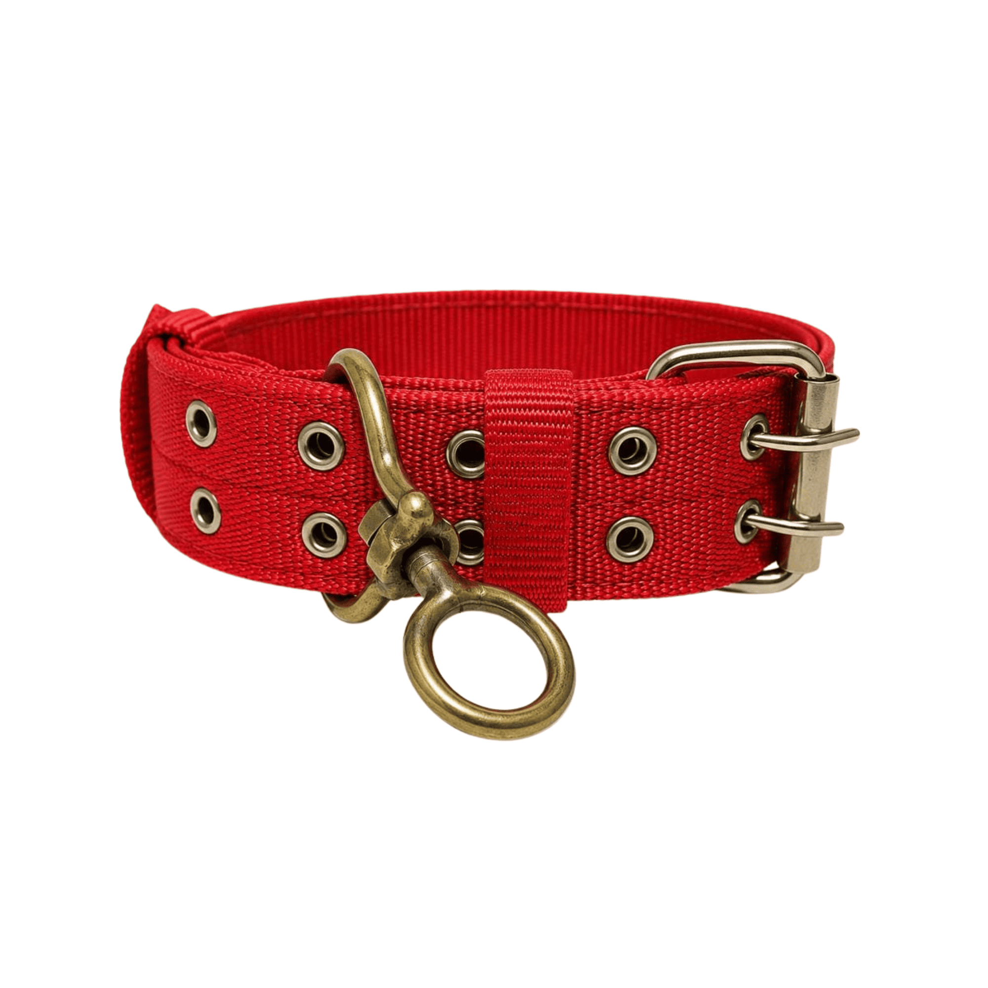 Collar Reforzado para Perros con Aro Giratorio Metálico