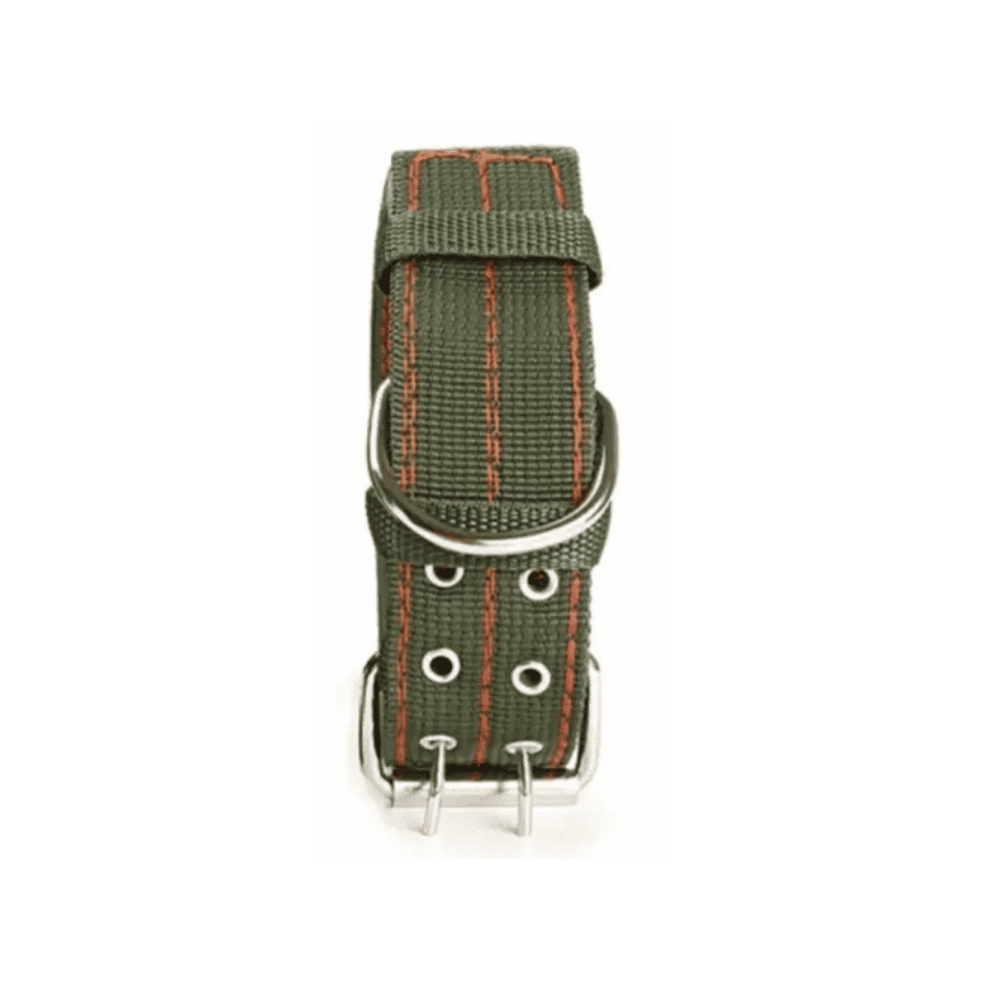 Collar Reforzado para Perros con Aro Fijo de Acero