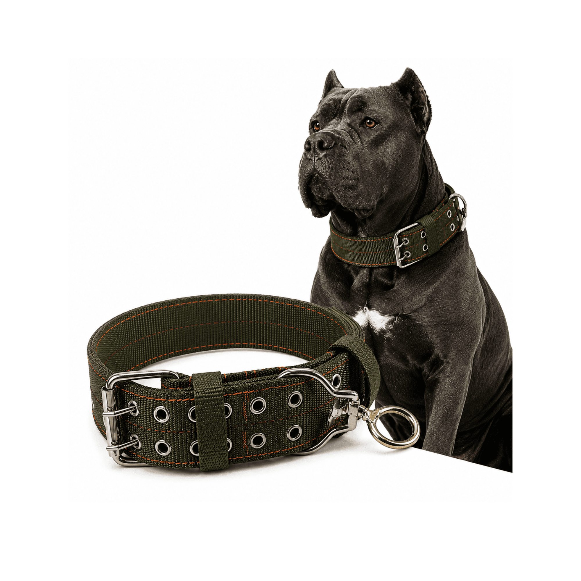 Collar Reforzado para Perros con Aro Giratorio Metálico