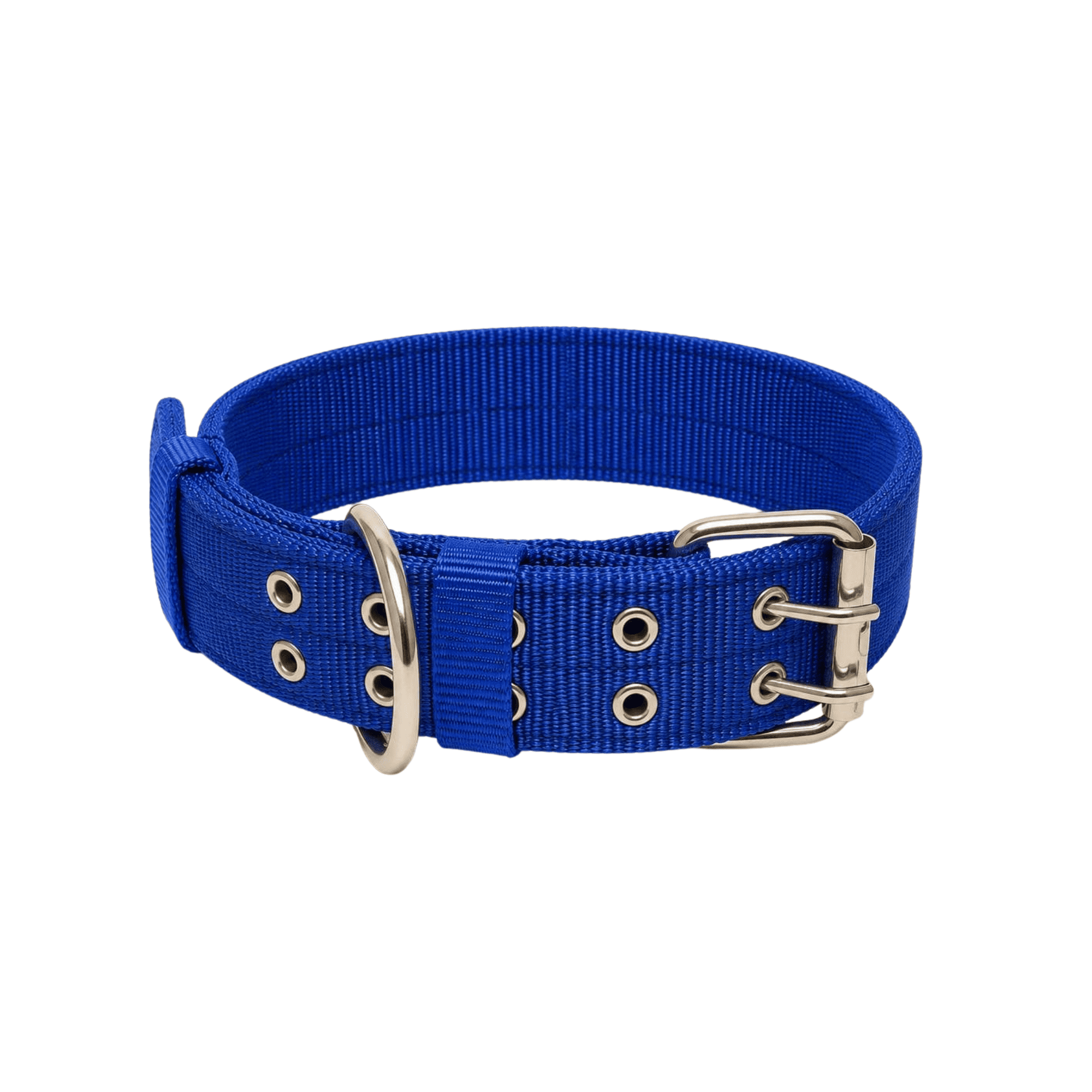 Collar Reforzado para Perros con Aro Fijo de Acero