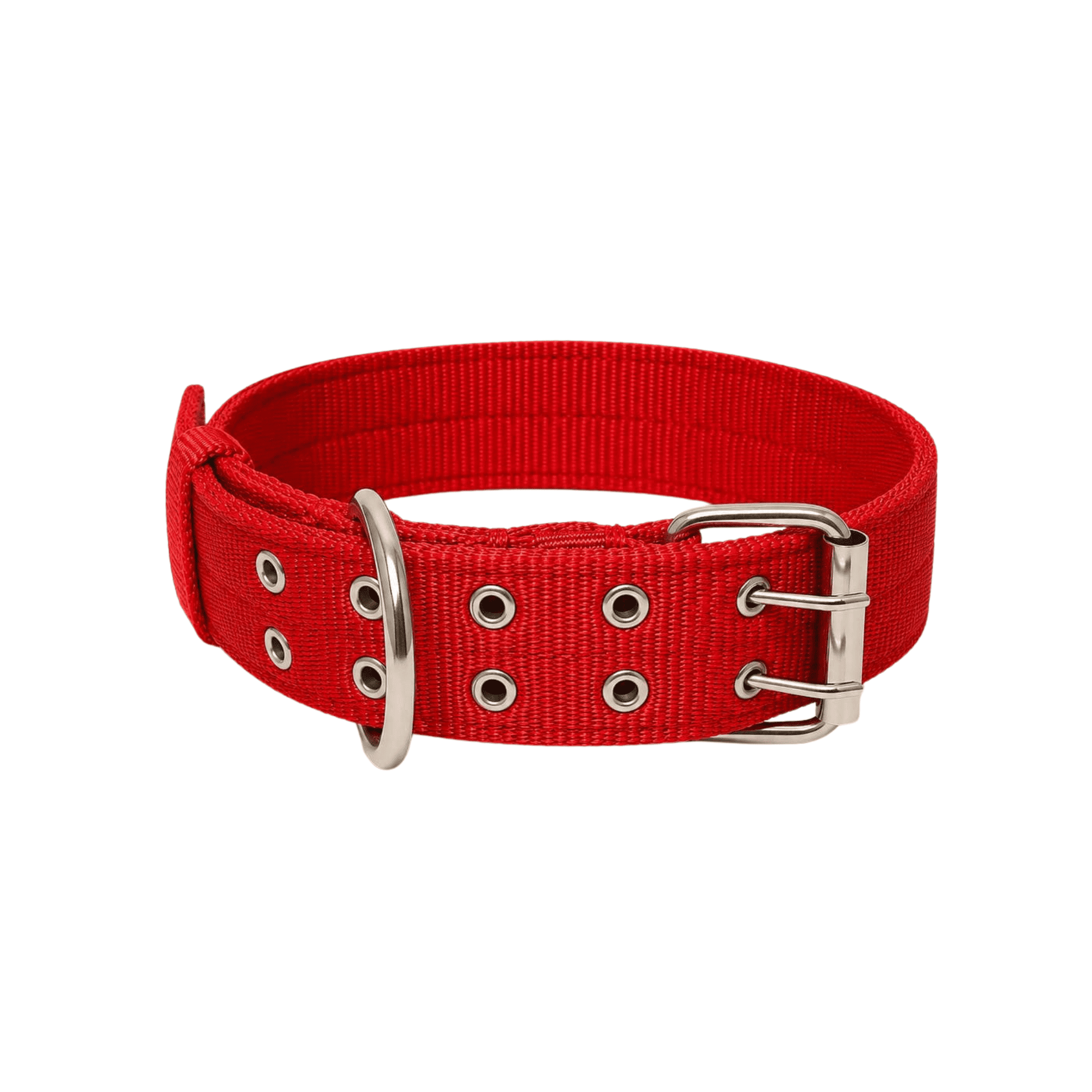 Collar Reforzado para Perros con Aro Fijo de Acero